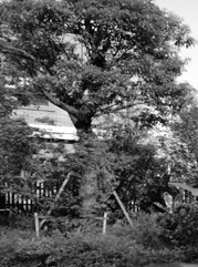 河南注册公司
